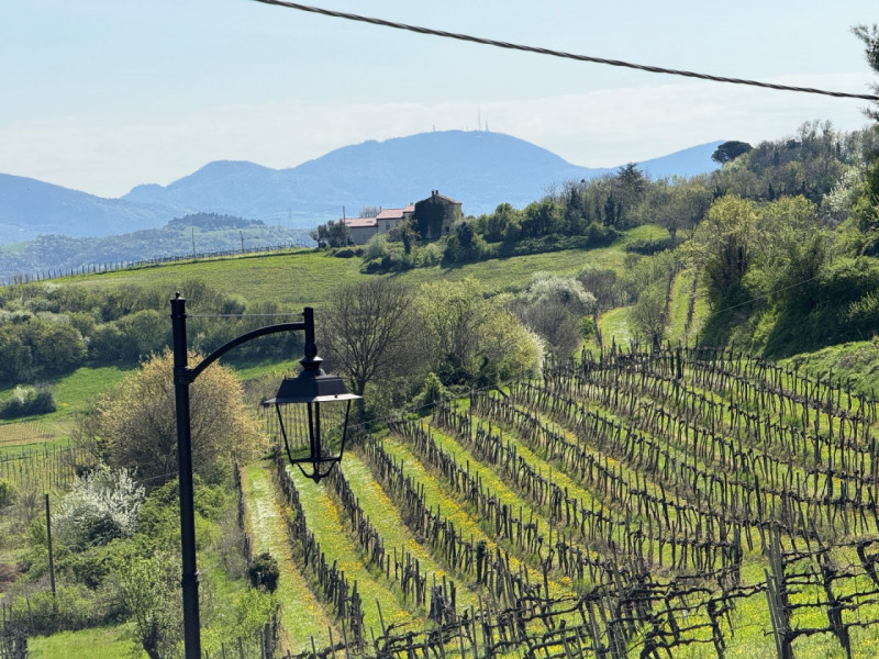 VILLA STORICA A VILLAGA DA RISTRUTTURARE CON VISTA STREPITOSA. EURO 165.000. CODICE 45280. POSSIB...