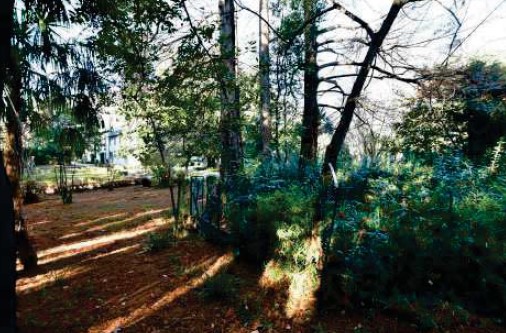 Rif. A.A.577-21

Vendita all'asta - villa veneta in data 27 gennaio 2026

Descrizione: trattasi d...