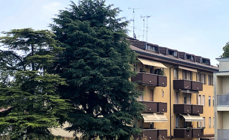 MONSELICE: in zona Frati proponiamo la vendita in blocco di 2 mansarde tra loro confinanti, ma ci...