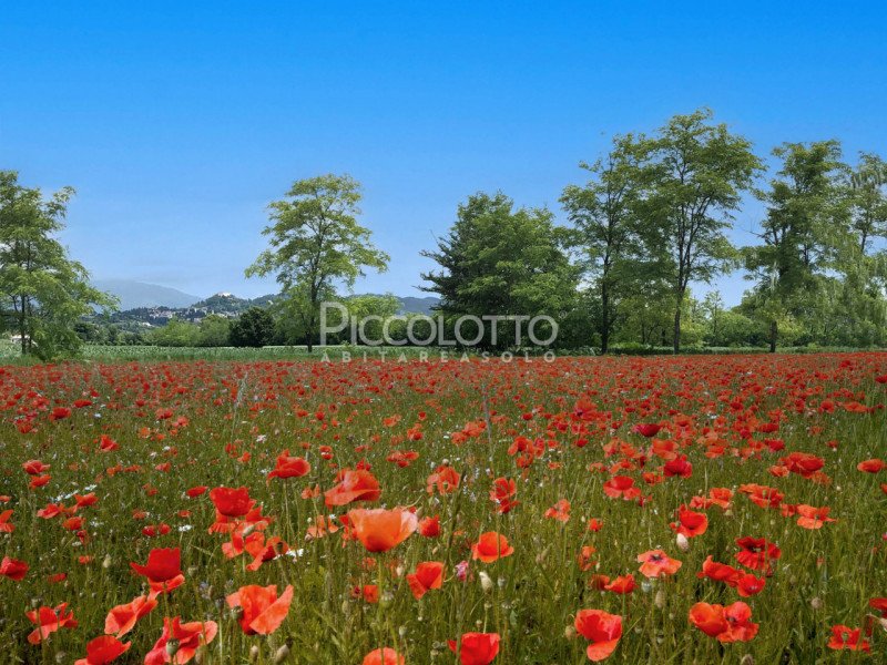 Rif. 5287 F - Asolo, località Pagnano, in vendita attico di nuova costruzione situato in un tranq...