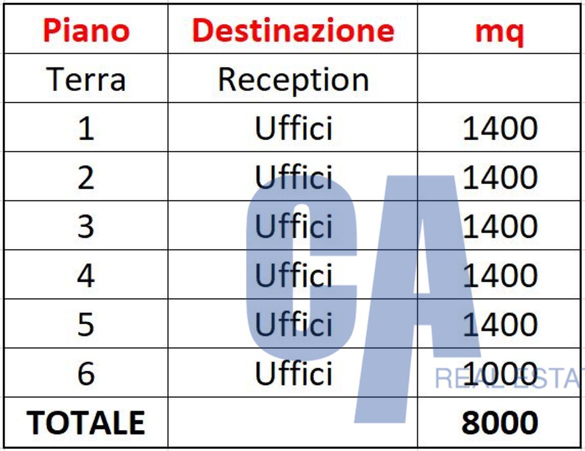 immagine annuncio 12 di 13