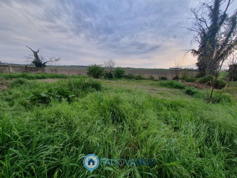 Immobile in esclusiva al Gruppo Padova MLS
A Pozzonovo, porzione di bifamiliare al grezzo con amp...