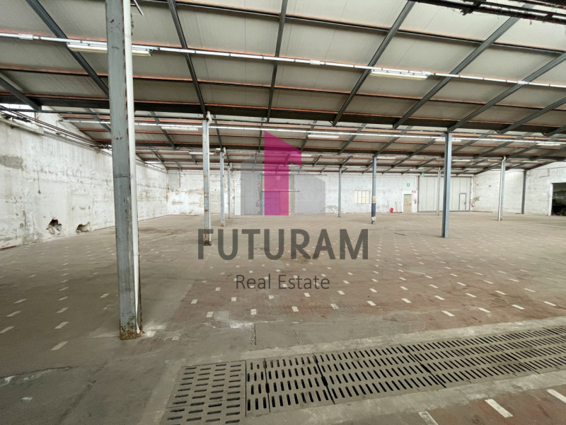 RIF: 016NM -  BOVOLENTA (PD)  -  PER INFO 0444/310220

Affittasi magazzino di 700 mq senza bagno ...