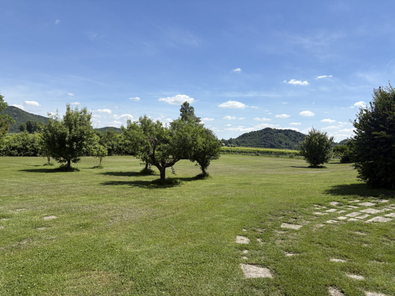 Posizione incantevole
Immersa nel verde della frazione di Val Sanzibio (Galzignano Terme), questa...