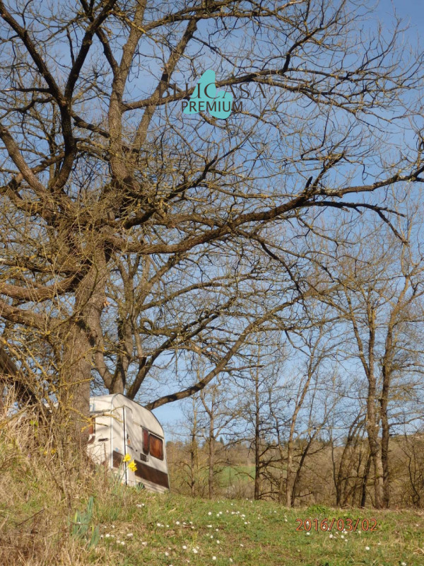 Case, Appartamenti, Ville, Attici, Loft in Vendita a Meldola