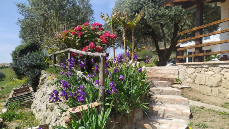 Proponiamo in vendita a Baone, località Valle San Giorgio, suggestivo rustico situato in una mera...