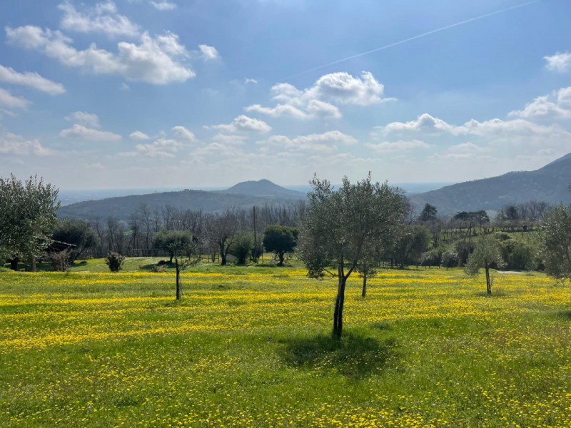 Proponiamo in vendita a Baone, località Valle San Giorgio, suggestivo rustico situato in una mera...