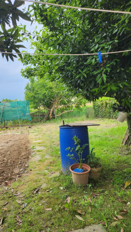 Nella zona del Canton della Madonna, comoda a Rubano, Caselle, Selvazzano Centro e Mestrino propo...