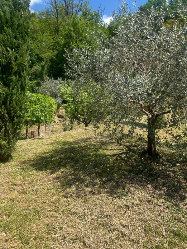 Esplora l'incanto delle colline dell'alto vicentino con questo affascinante rustico in vendita.  ...