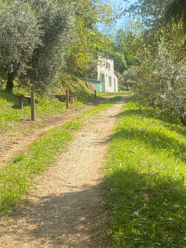 Esplora l'incanto delle colline dell'alto vicentino con questo affascinante rustico in vendita.  ...