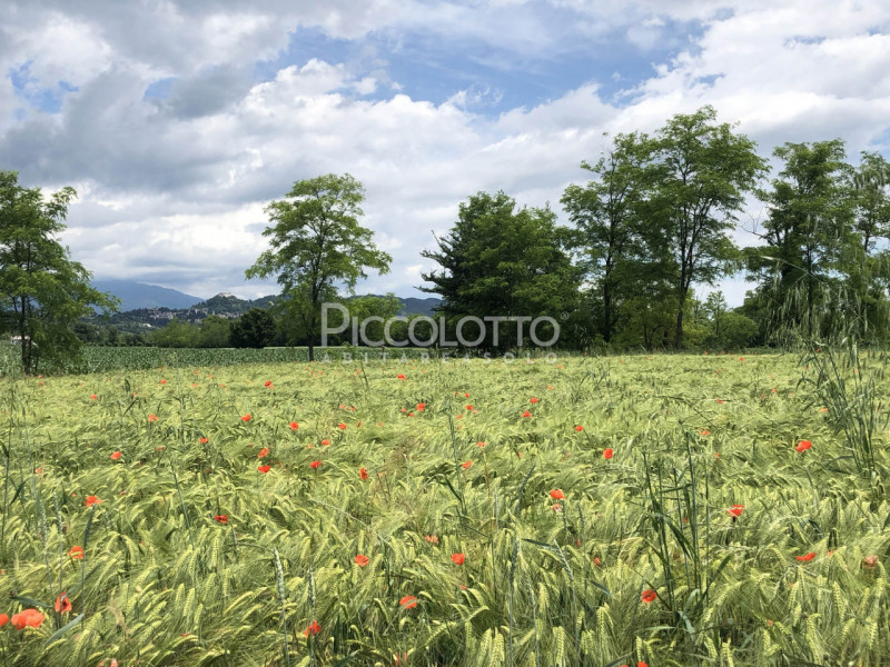 Rif. 5287 - Asolo, località Pagnano, appartamento di nuova costruzione in vendita in tranquillo c...