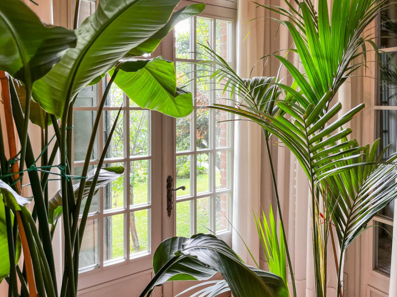 (Per INFO Vittorio 3517343301) Nel cuore di Megliadino San Vitale, in posizione centrale e comoda...