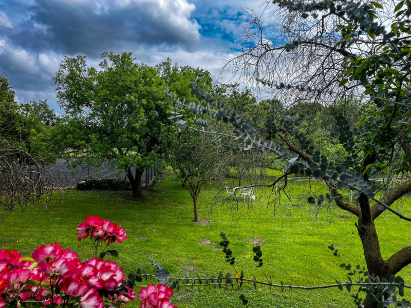 (Per INFO Vittorio 3517343301) Nel cuore di Megliadino San Vitale, in posizione centrale e comoda...
