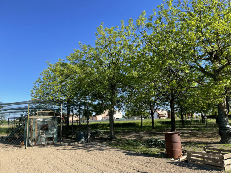 Oggi vi proponiamo una casa singola ad Arzergrande situata in posizione comoda a raggiungere qual...