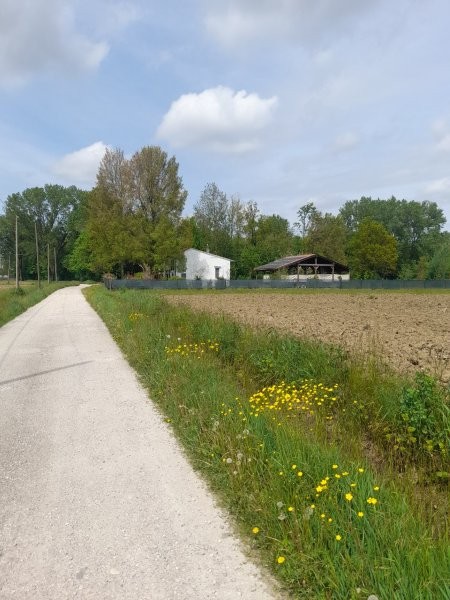 Nel comune di Roncade, casa di campagna singola con scoperto privato e impianto fotovoltaico.
 
L...