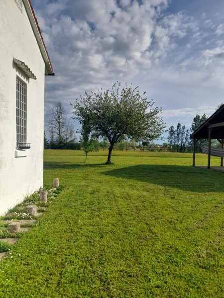 Nel comune di Roncade, casa di campagna singola con scoperto privato e impianto fotovoltaico.
 
L...