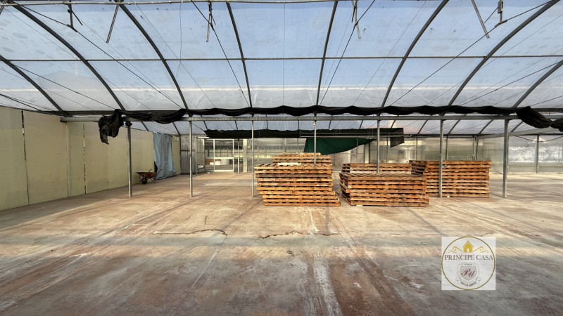 MAG3 - Monselice in fronte strada statale e di forte passaggio proponiamo magazzino per uso garde...