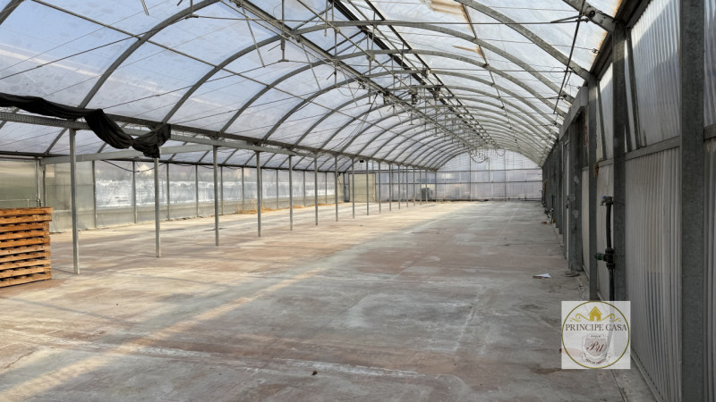 MAG3 - Monselice in fronte strada statale e di forte passaggio proponiamo magazzino per uso garde...