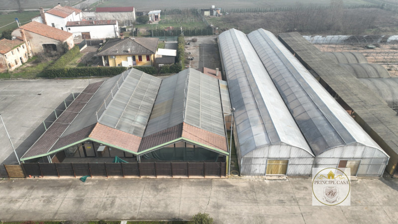 MAG3 - Monselice in fronte strada statale e di forte passaggio proponiamo magazzino per uso garde...