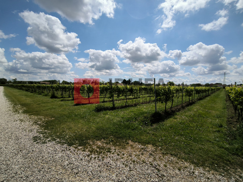 SILEA: CENDON

In una posizione strategica proponiamo in vendita un terreno agricolo di 22.137 mq...