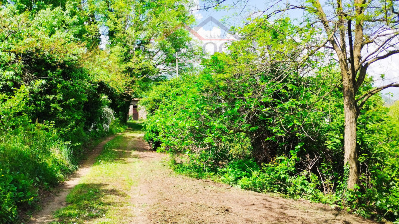 Rif. 447A - Castelnuovo di Teolo

In contesto collinare di notevole valenza naturalistica, situat...