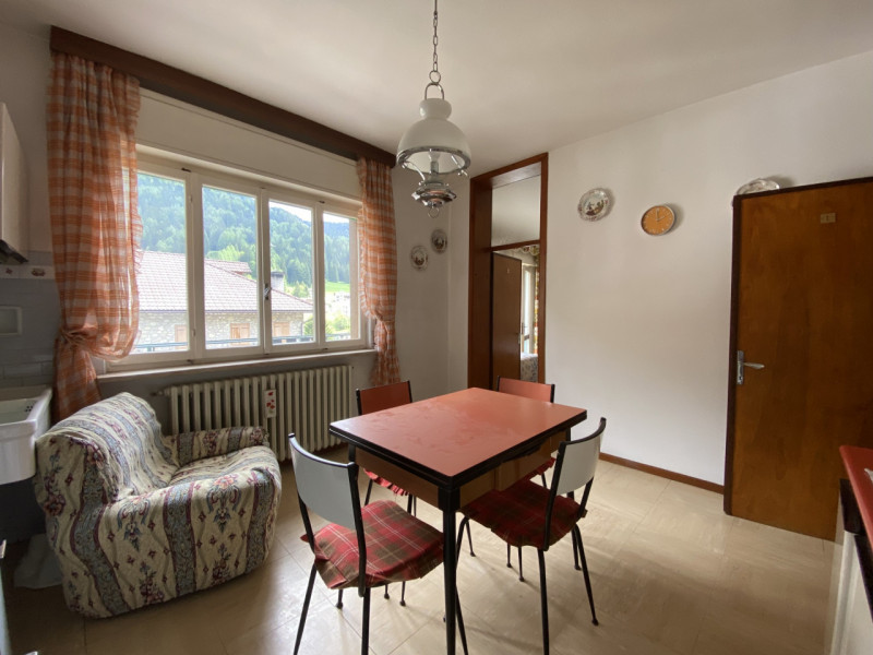 Vigo di Cadore Vendita Appartamento quadrilocale