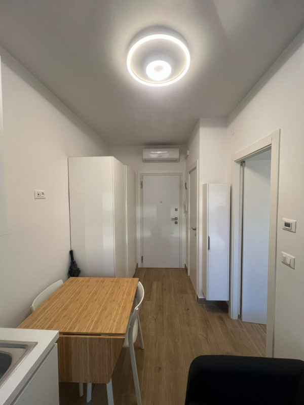 LUMINOSO MINI-APPARTAMENTO DI RECENTE RISTRUTTURAZIONE. ARREDATO. INGRESSO, SOGGIORNO CON ZONA CO...