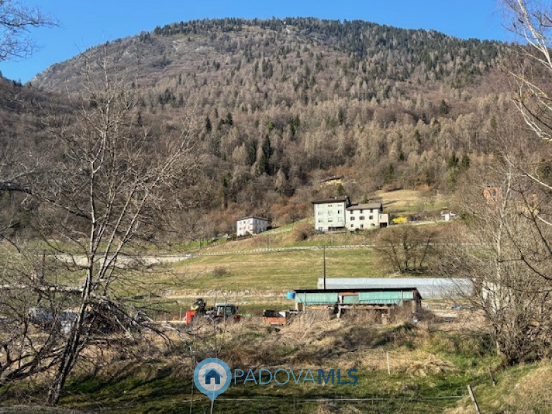 Pieve Tesino Vendita Appartamento trilocale