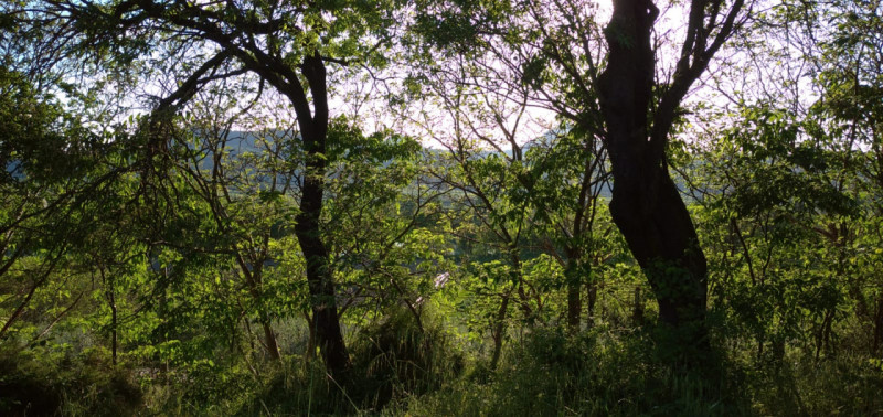 Scoprite il fascino senza tempo di questa magnifica villa situata nelle vicinanze del borgo stori...