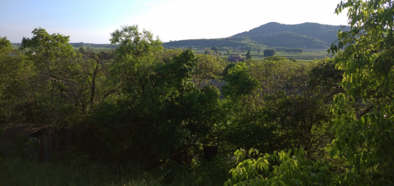Scoprite il fascino senza tempo di questa magnifica villa situata nelle vicinanze del borgo stori...