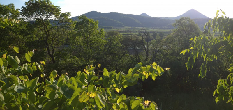 Scoprite il fascino senza tempo di questa magnifica villa situata nelle vicinanze del borgo stori...