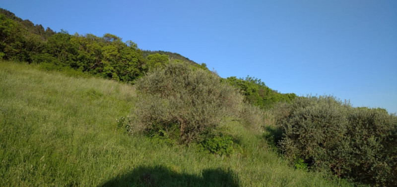Scoprite il fascino senza tempo di questa magnifica villa situata nelle vicinanze del borgo stori...