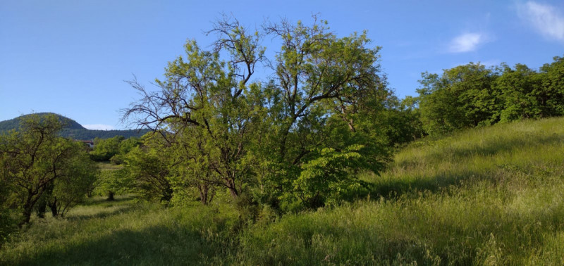 Scoprite il fascino senza tempo di questa magnifica villa situata nelle vicinanze del borgo stori...