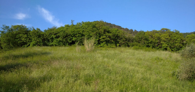 Scoprite il fascino senza tempo di questa magnifica villa situata nelle vicinanze del borgo stori...