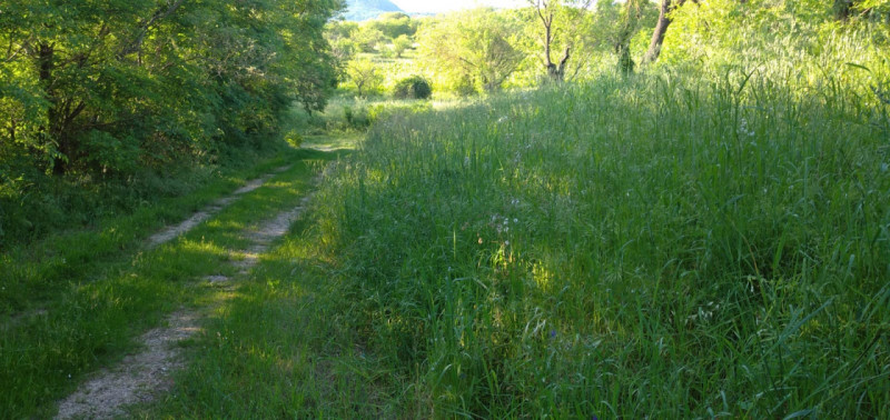 Scoprite il fascino senza tempo di questa magnifica villa situata nelle vicinanze del borgo stori...