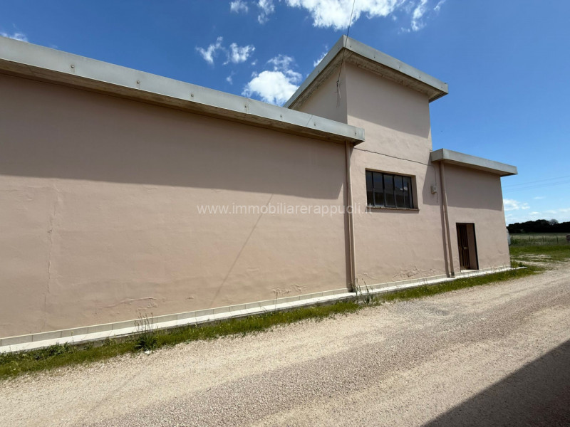 Capannoni industriali ed artigianali in vendita e affitto in Affitto a Foiano Della Chiana