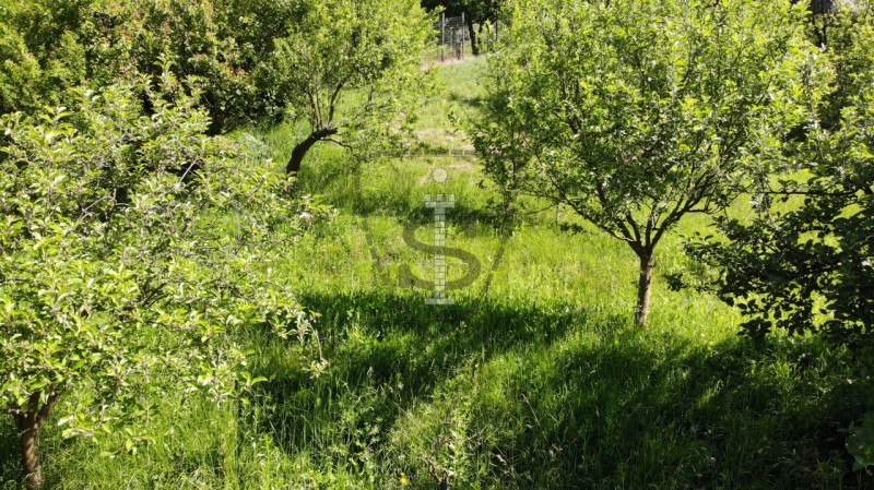 Se stai cercando un terreno agricolo nella pittoresca comune di Marostica, questa è l'occasione p...