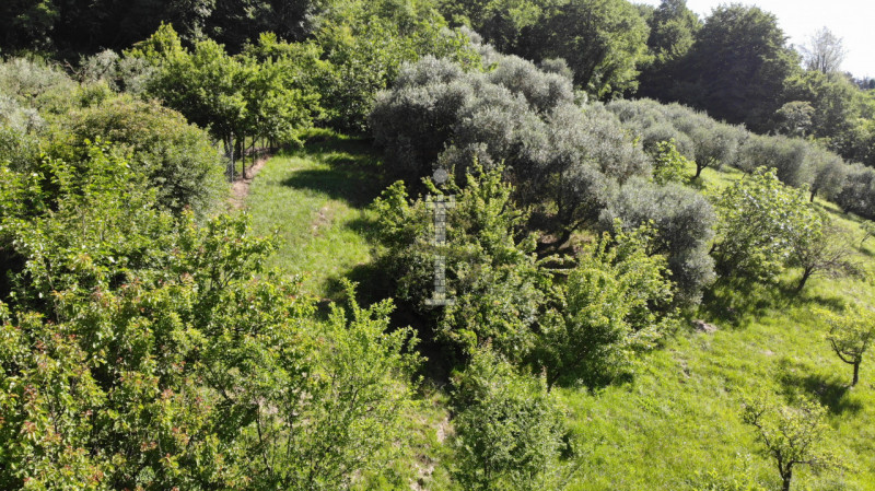 Se stai cercando un terreno agricolo nella pittoresca comune di Marostica, questa è l'occasione p...