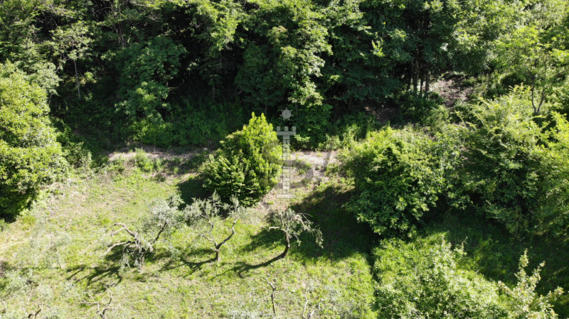 Se stai cercando un terreno agricolo nella pittoresca comune di Marostica, questa è l'occasione p...