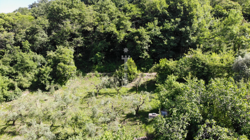 Se stai cercando un terreno agricolo nella pittoresca comune di Marostica, questa è l'occasione p...