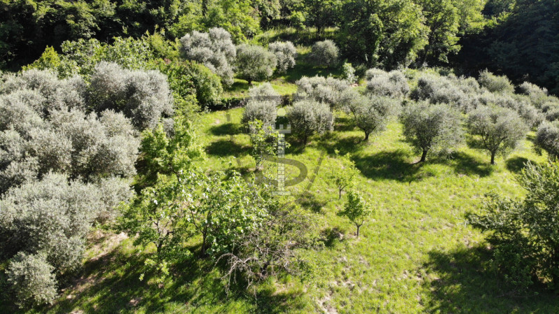 Se stai cercando un terreno agricolo nella pittoresca comune di Marostica, questa è l'occasione p...