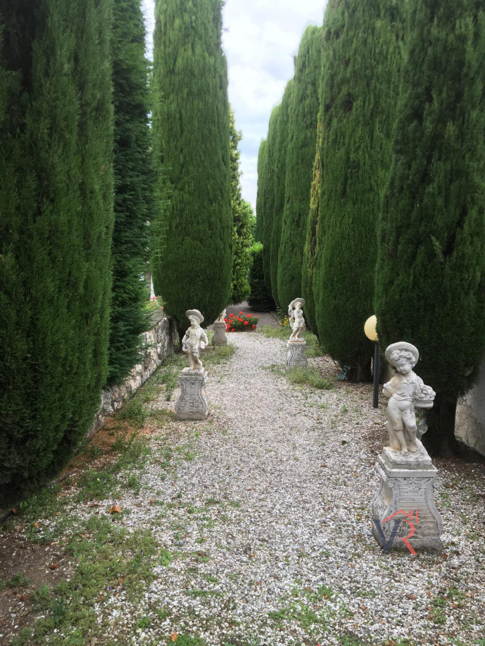 immagine annuncio 1 di 14