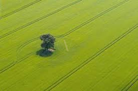 In posizione privilegiata nel comune di Arcugnano, più precisamente nella suggestiva zona di Torr...