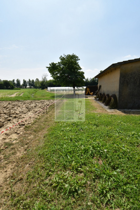 Proponiamo in vendita soluzione COMPLETAMENTE INDIPENDENTE, con annessi ricoveri agricoli su un l...