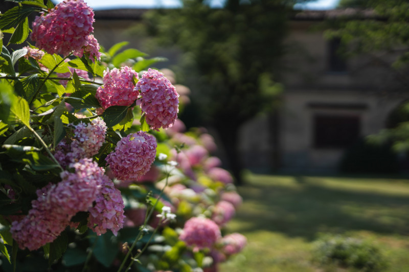 Tenuta di Prestigio a San Gervasio Bresciano – Con Piscina, Parco Privato, Dependance, Laboratori...