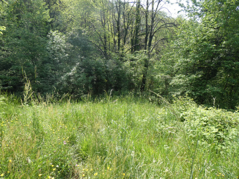 TORREBELVICINO: In contrada, CASA TERRA-CIELO disponibile da subito completa di orto e boschi. Cl...