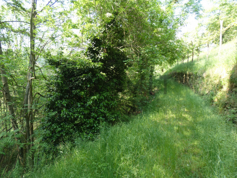 TORREBELVICINO: In contrada, CASA TERRA-CIELO disponibile da subito completa di orto e boschi. Cl...