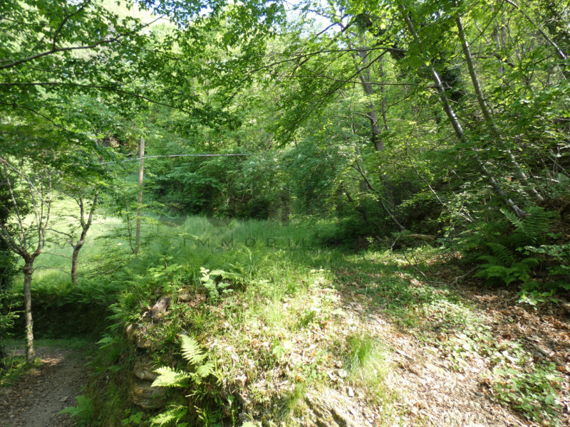 TORREBELVICINO: In contrada, CASA TERRA-CIELO disponibile da subito completa di orto e boschi. Cl...