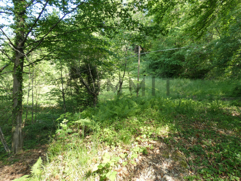 TORREBELVICINO: In contrada, CASA TERRA-CIELO disponibile da subito completa di orto e boschi. Cl...