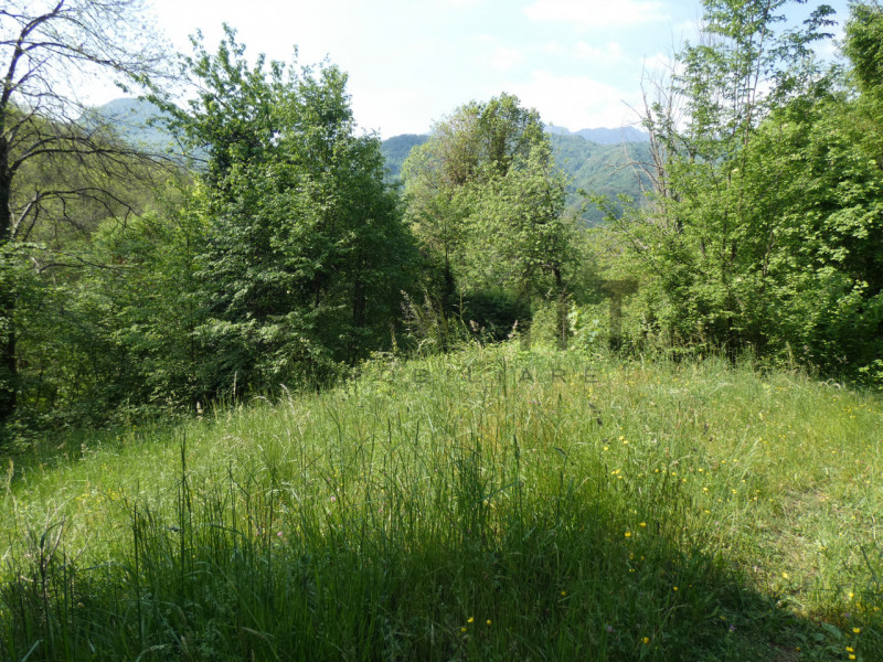 TORREBELVICINO: In contrada, CASA TERRA-CIELO disponibile da subito completa di orto e boschi. Cl...